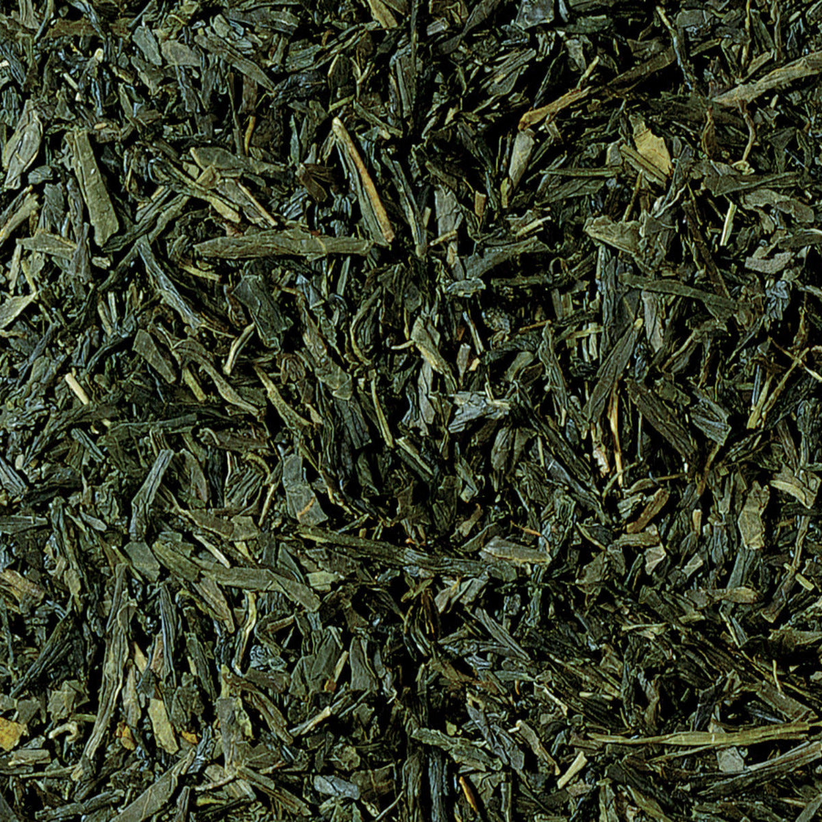 Japan Sencha Fukujyu - Grüntee