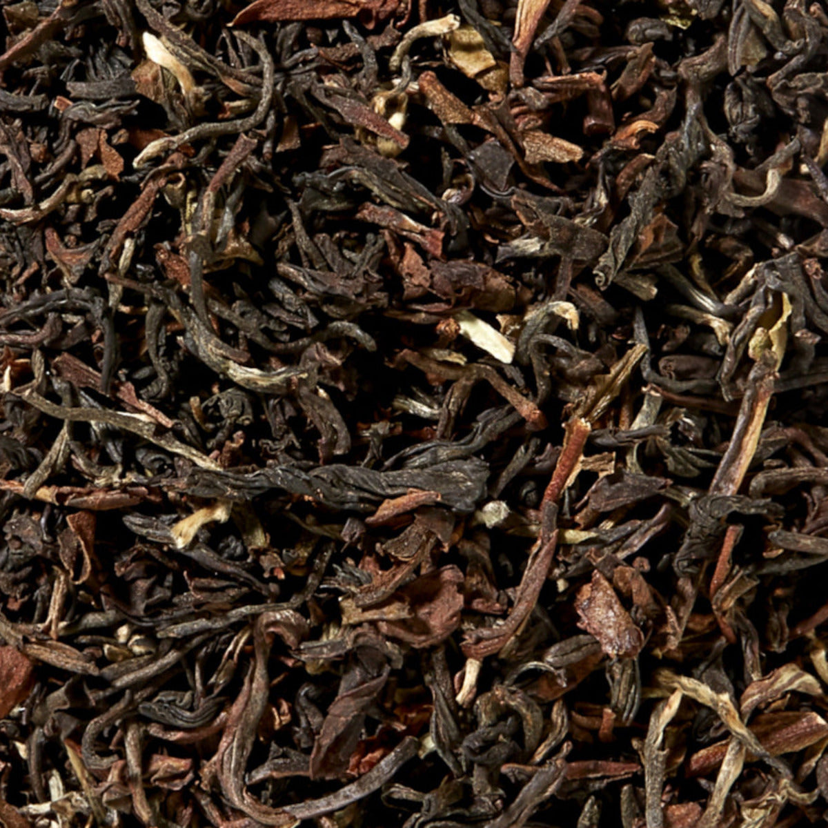 Darjeeling Steinthal - Schwarztee