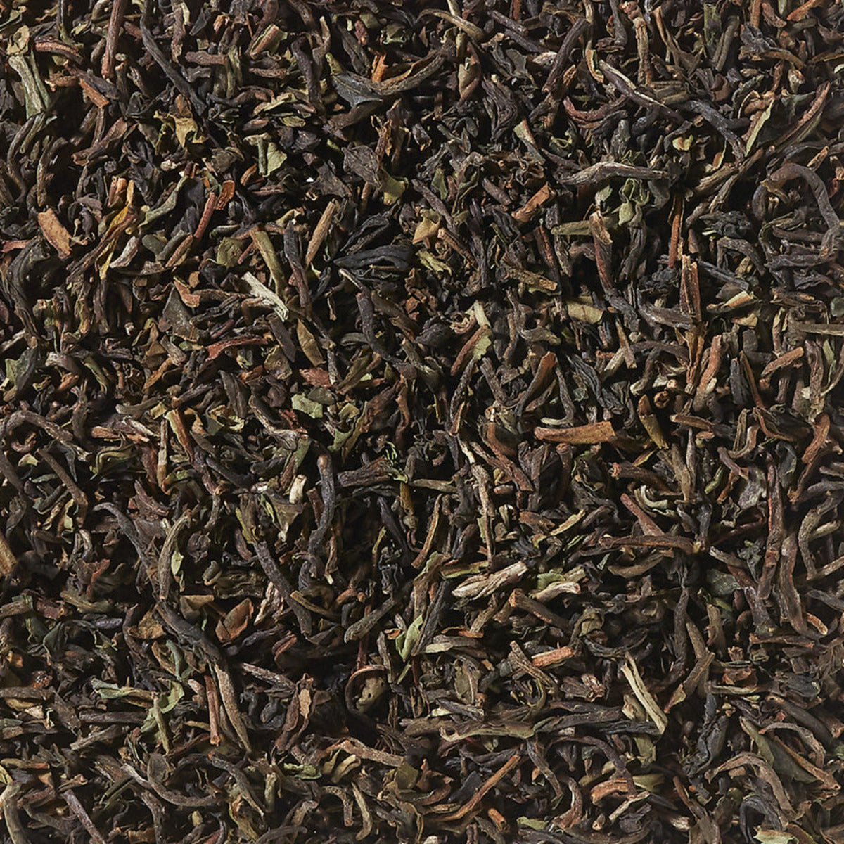 Blattmischung First Flush - Schwarztee
